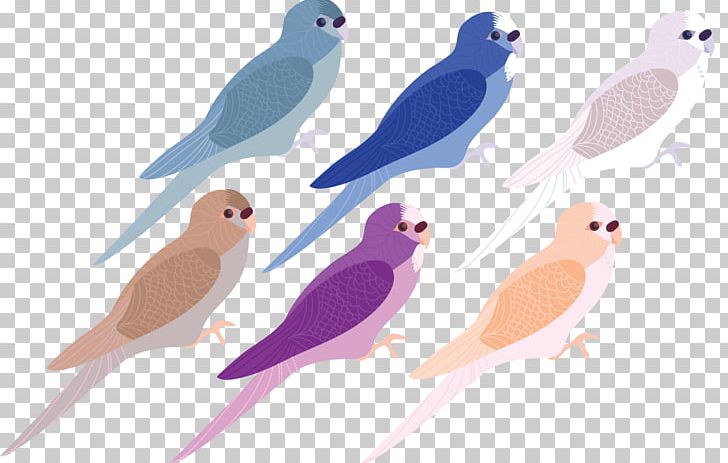 Bird PNG, Clipart, Animal, Animals, Beak, Bird, Bird Cage Free PNG Download