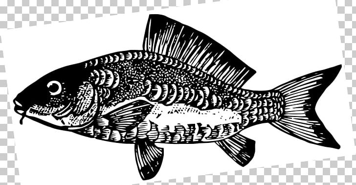 Fish Line Art PNG, Clipart, Animal Figure, Artwork, Black And White, Carp, Fauna Free PNG Download