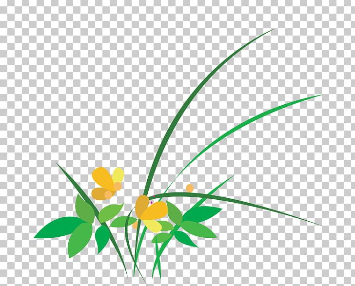 Flower PNG, Clipart, Area, Artificial Grass, Branch, Cartoon Grass, Circle Free PNG Download