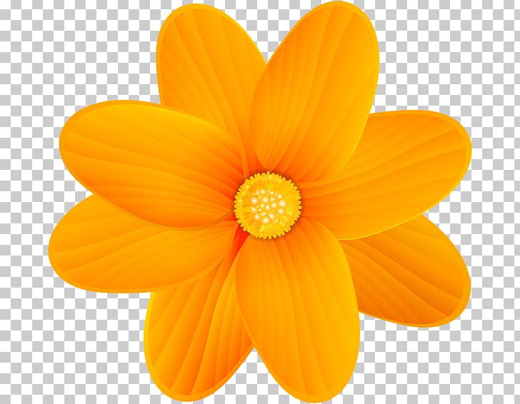 Flower Yellow PNG, Clipart, Blue, Color, Dahlia, Daisy Family, Display Resolution Free PNG Download