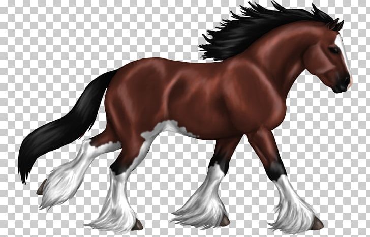 Foal Stallion Clydesdale Horse Mustang Colt PNG, Clipart, Animal Figure, Bridle, Budweiser Clydesdales, Clydesdale Horse, Colt Free PNG Download