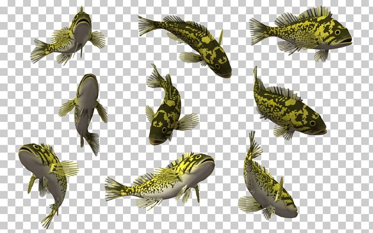 Light Fish Photo Manipulation PNG, Clipart, Amphibian, Animal, Deep Sea Creature, Digital Photography, Fauna Free PNG Download