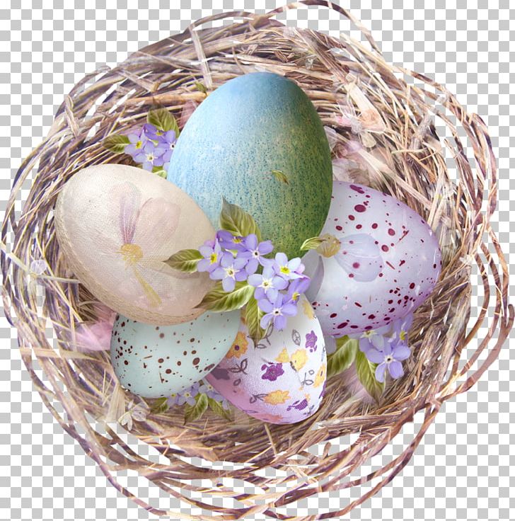 Nest Egg Portable Network Graphics PNG, Clipart,  Free PNG Download