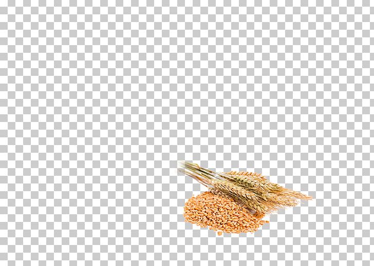 Whole Grain Vaisakhi Rusk Food Wheat PNG, Clipart, Baisakhi Wishes, Barley, Bread, Cereal, Cereal Germ Free PNG Download