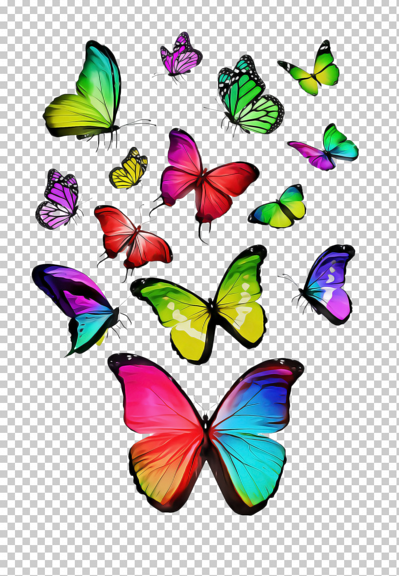 Butterfly Insect Moths And Butterflies Pollinator Wing PNG, Clipart, Butterfly, Insect, Moths And Butterflies, Pollinator, Wing Free PNG Download
