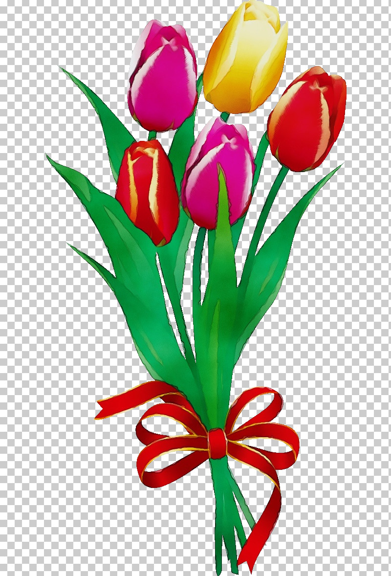 Cut Flowers Tulip Flower Petal Plant PNG, Clipart, Bouquet, Cut Flowers, Flower, Flower Bouquet, Flower Bunch Free PNG Download