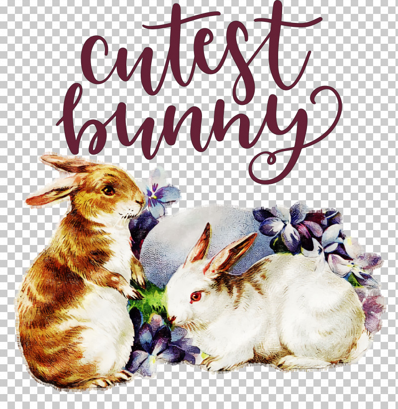 Cutest Bunny Happy Easter Easter Day PNG, Clipart, Basket, Christmas Card, Christmas Day, Cutest Bunny, Easter Basket Free PNG Download