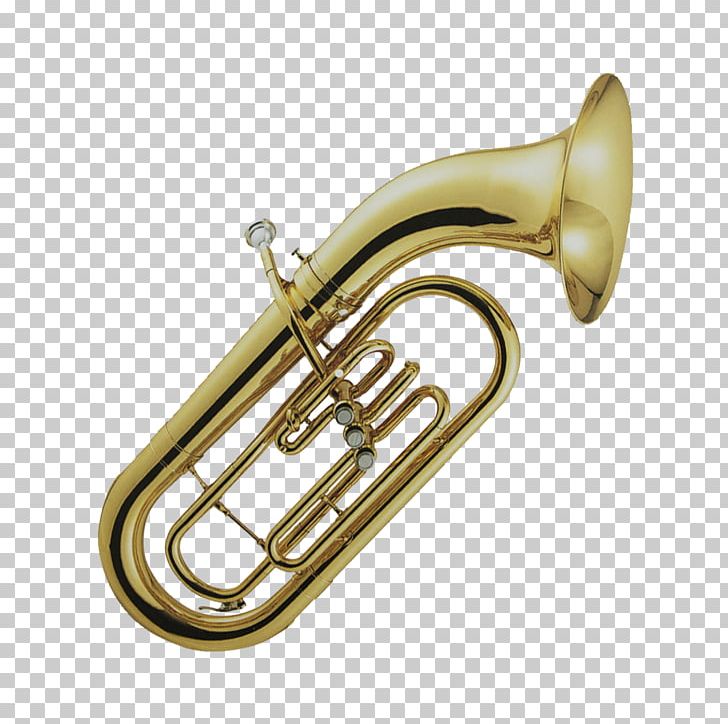 Brass Instruments Musical Instruments Euphonium Flugelhorn Trumpet PNG, Clipart, Alto Horn, Bore, Brass, Brass Instrument, Brass Instruments Free PNG Download