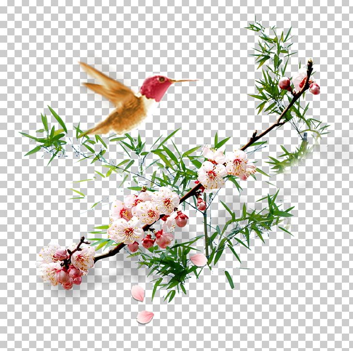 Floral Design Apricot Plum Blossom Flower PNG, Clipart, Art, Bird, Blossom, Branch, Creative Flower Free PNG Download