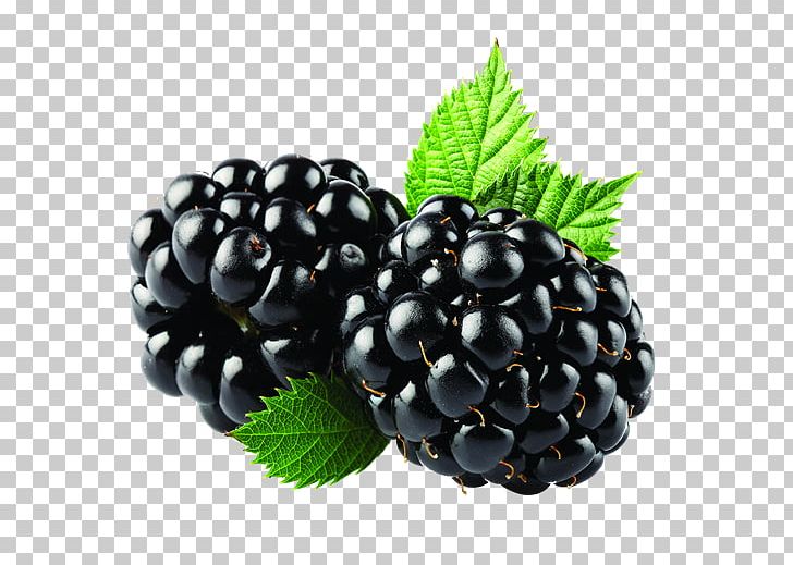 Smoothie Blackberry Organic Food Milk PNG, Clipart, Amora, Berry, Bilberry, Blackberry 10, Blackberry Png Free PNG Download