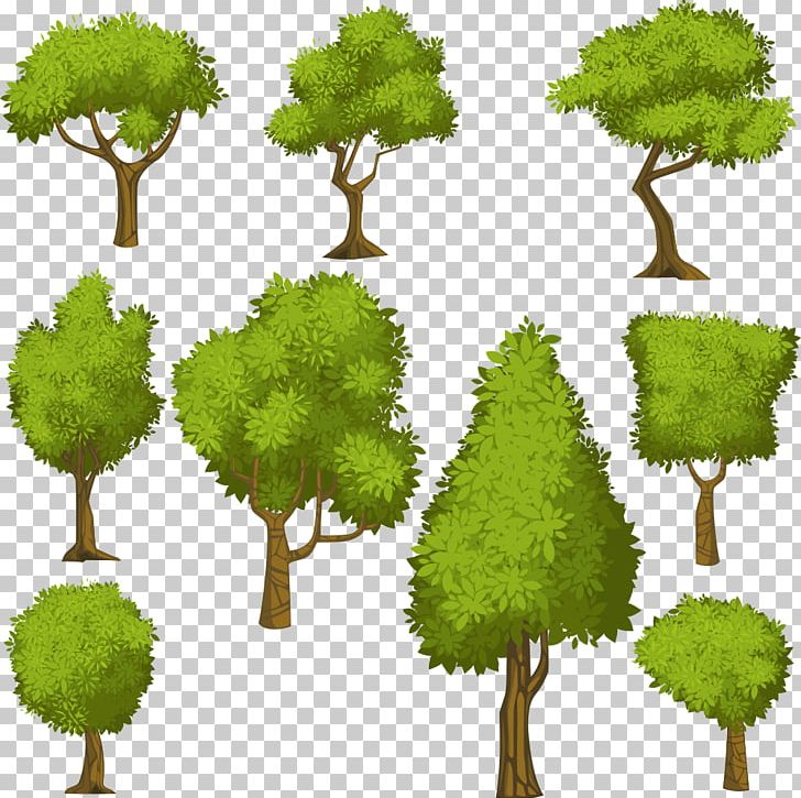Tree Euclidean Shrub Illustration PNG, Clipart, Biome, Branch, Cartoon, Cartoon Eyes, Cartoon Green Tree Free PNG Download