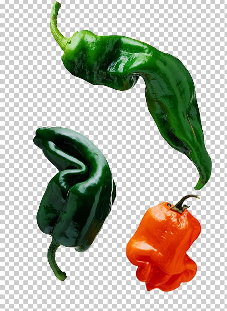 Bell Pepper Chili Pepper Capsaicin Pimiento PNG, Clipart, Bell Peppers And Chili Peppers, Black Pepper, Blue, Caijiao, Capsicum Free PNG Download