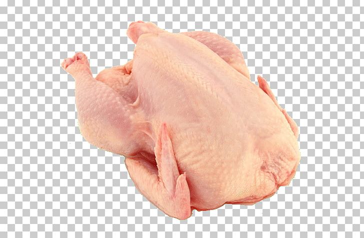 Chicken Meat Broiler Chicken Meat Shashlik PNG, Clipart, Animal Fat, Animals, Animal Source Foods, Broiler, Broth Free PNG Download
