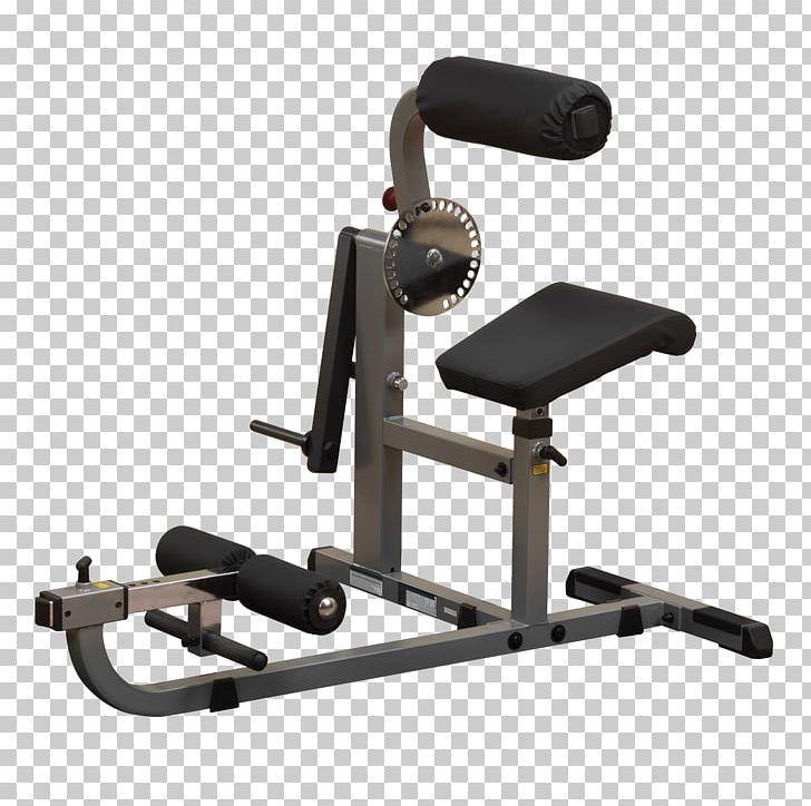 Human Body Muscle Fitness Centre Human Back Exercise PNG, Clipart, Abdomen, Arm, Bench, Body, Exercise Free PNG Download