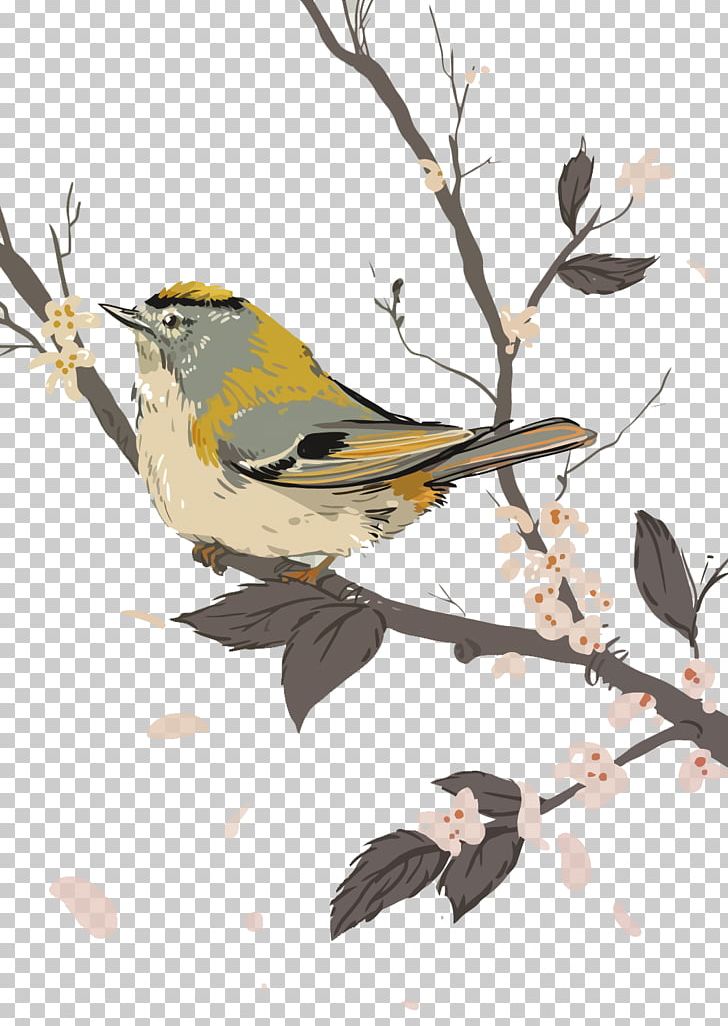 Bird-and-flower Painting Watercolor Painting Illustration PNG, Clipart, Art, Bird, Birds, Bird Vector, Branch Free PNG Download