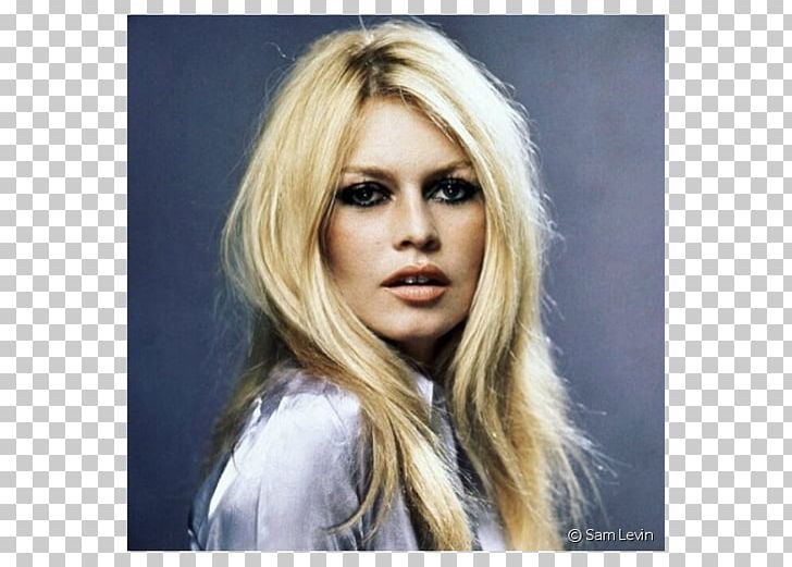 Brigitte Bardot Contempt Photography Photographer Actor PNG, Clipart, Actor, Art, Audrey Hepburn, Bangs, Beauty Free PNG Download