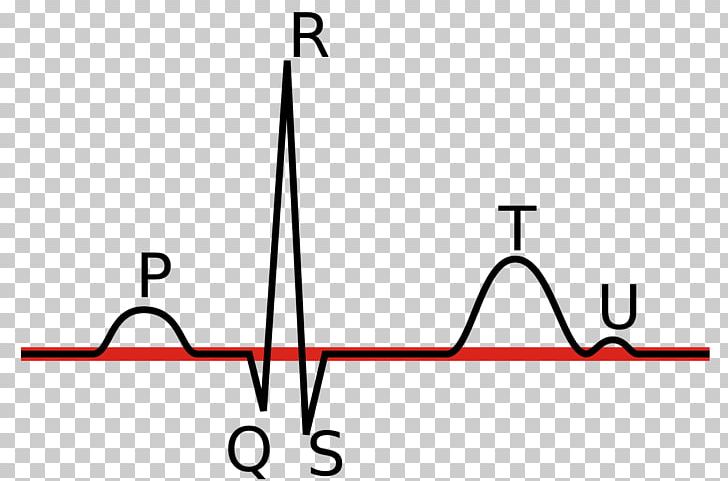 Electrocardiography Linia Izoelektryczna P Wave QRS Complex Heart Rate PNG, Clipart, Angle, Area, Black And White, Circle, Computer Icons Free PNG Download