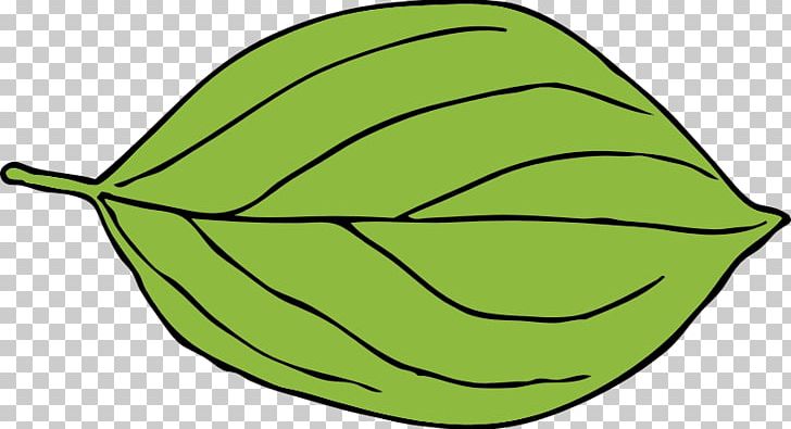 Leaf Graphics Open PNG, Clipart, Area, Artwork, Computer Icons, Download, Drawing Free PNG Download