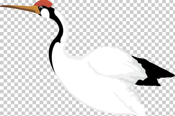 Red-crowned Crane Cygnini PNG, Clipart, Animal, Background White, Beak, Bird, Birds Free PNG Download