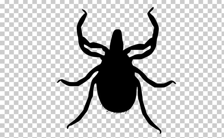 Tick Transstadial Transmission Fly Insect Pest Control PNG, Clipart, Acari, Arthropod, Artwork, Beetle, Black And White Free PNG Download