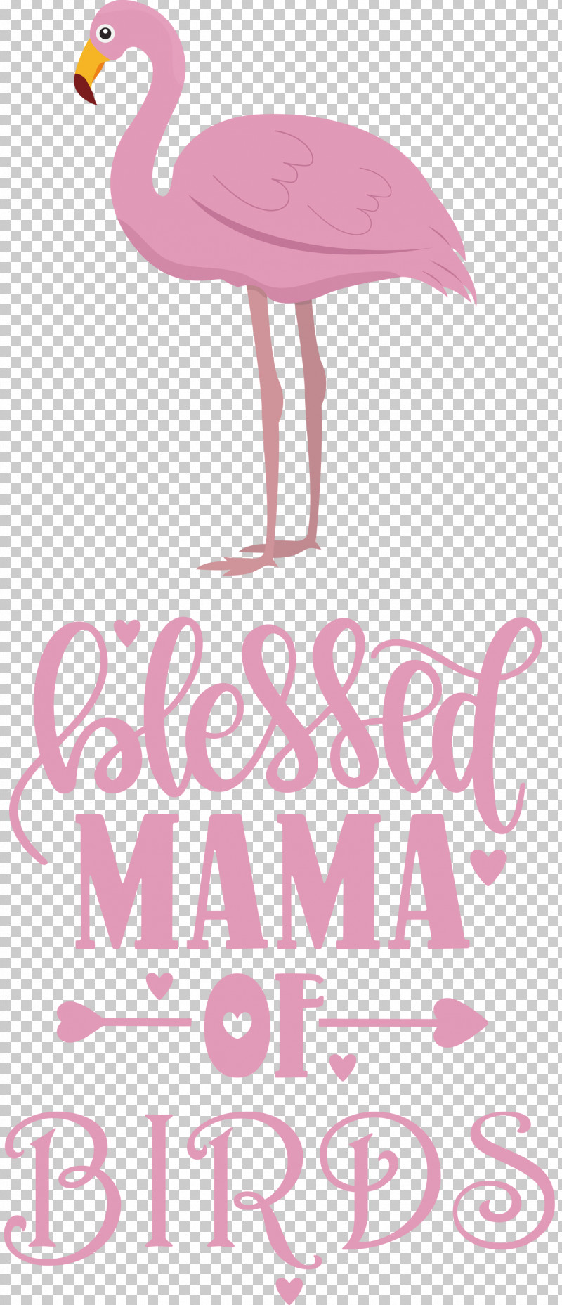 Bird Birds Blessed Mama Of Birds PNG, Clipart, Beak, Biology, Bird, Birds, Meter Free PNG Download