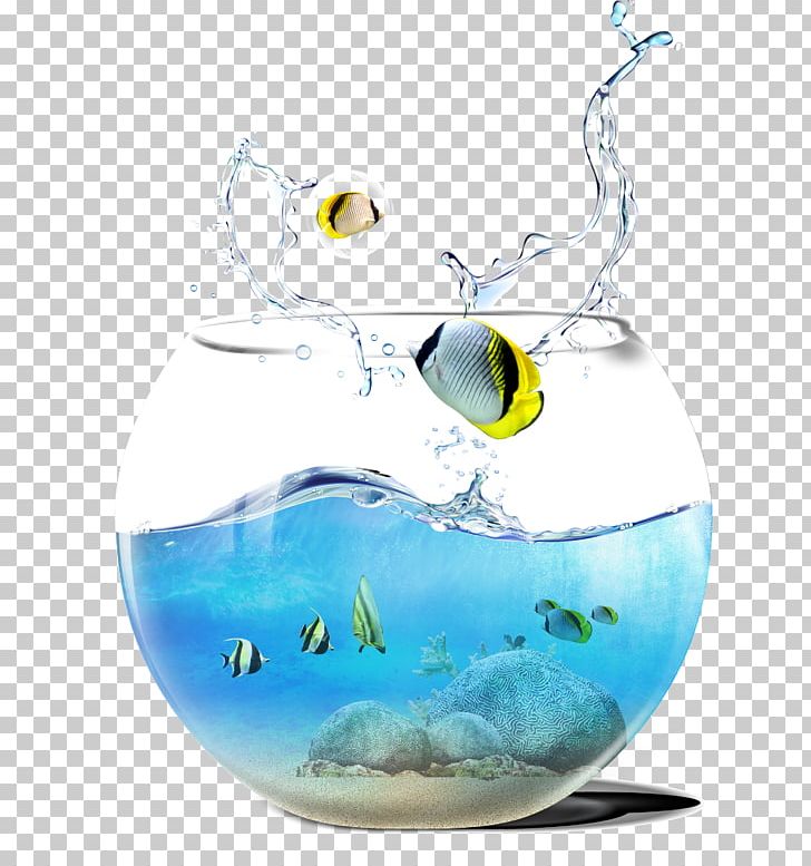 Aquarium PNG, Clipart, Aqua, Aquarium, Aquarium Fish, Blue, Computer Wallpaper Free PNG Download