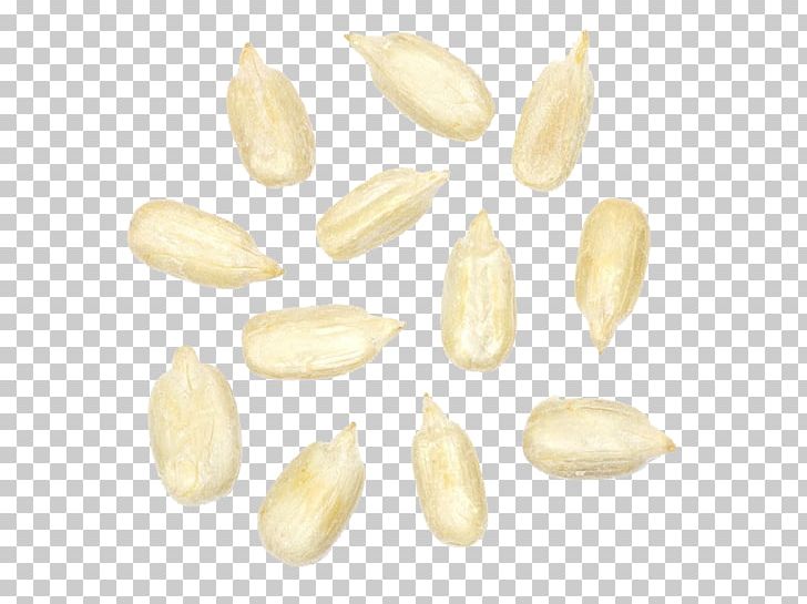 Commodity PNG, Clipart, Background White, Black White, Commodity, Fruit Nut, Melon Free PNG Download