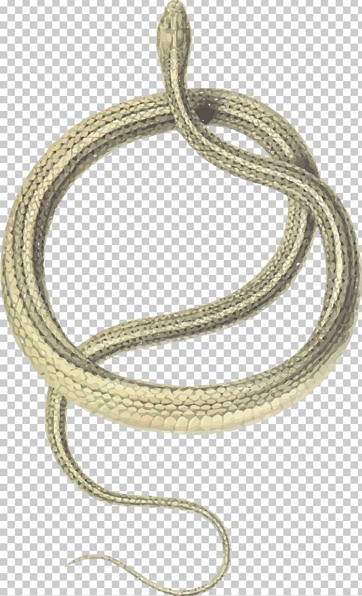 Green Whip Snake Coluber Balkan Whip Snake Shadow Of The Snake PNG, Clipart, Balkan Whip Snake, Body Jewelry, Bracelet, Chain, Coluber Free PNG Download