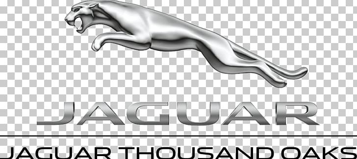 Jaguar Cars Car Dealership Land Rover Used Car PNG, Clipart, Angle, Automotive Design, Automotive Exhaust, Auto Part, Black And White Free PNG Download