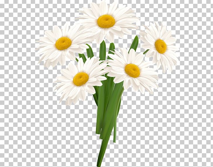 Graphics Vase PNG, Clipart, Camomile, Chamaemelum Nobile, Chamomile, Chrysanths, Common Daisy Free PNG Download