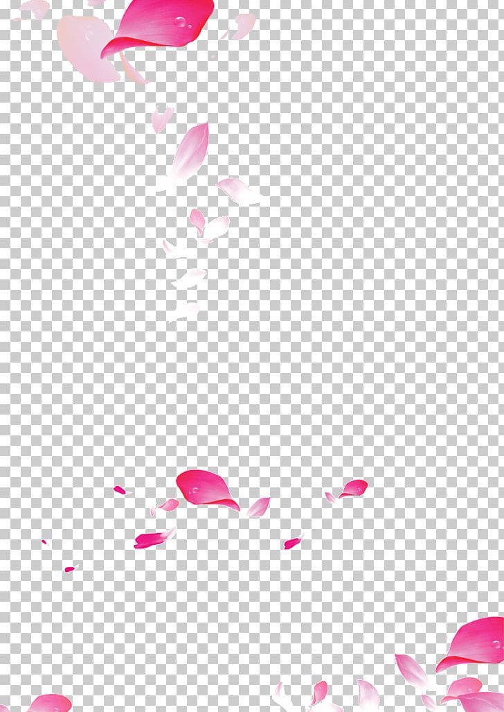 Petal PNG, Clipart, Area, Blossom, Cherry, Cherry Blossom, Download Free PNG Download