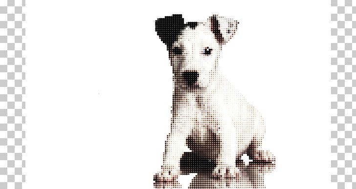 Puppy Dog Breed Labrador Retriever Golden Retriever Companion Dog PNG, Clipart, Animal, Animal Rescue Group, Animals, Carnivoran, Companion Dog Free PNG Download
