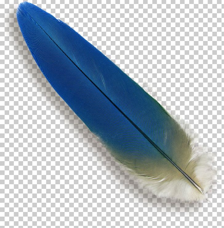 Bird Flight Feather Macaw Blue PNG, Clipart, Bird, Blue, Blueandyellow Macaw, Blue Feather, Cockatoo Free PNG Download
