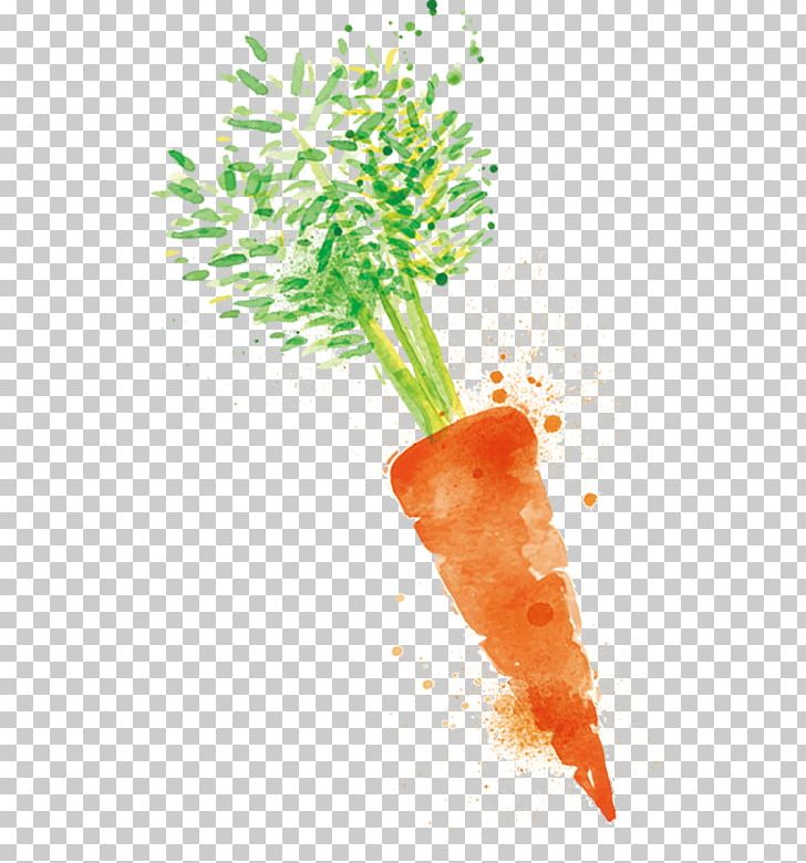 Carrot Turnip Cake Radish Vegetable PNG, Clipart, Bunch Of Carrots, Carrot, Carrot Cartoon, Carrot Juice, Carrots Free PNG Download