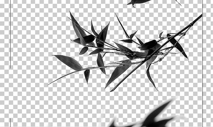 China Bamboo Ink Brush Photography PNG, Clipart, Angle, Bam, Bamboo, Bamboo Frame, Bamboo House Free PNG Download