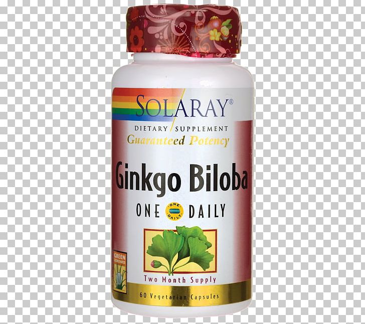 Dietary Supplement Ginkgo Biloba Extract Capsule Flavor PNG, Clipart, Capsule, Dietary Supplement, Extract, Flavor, Ginkgo Biloba Free PNG Download