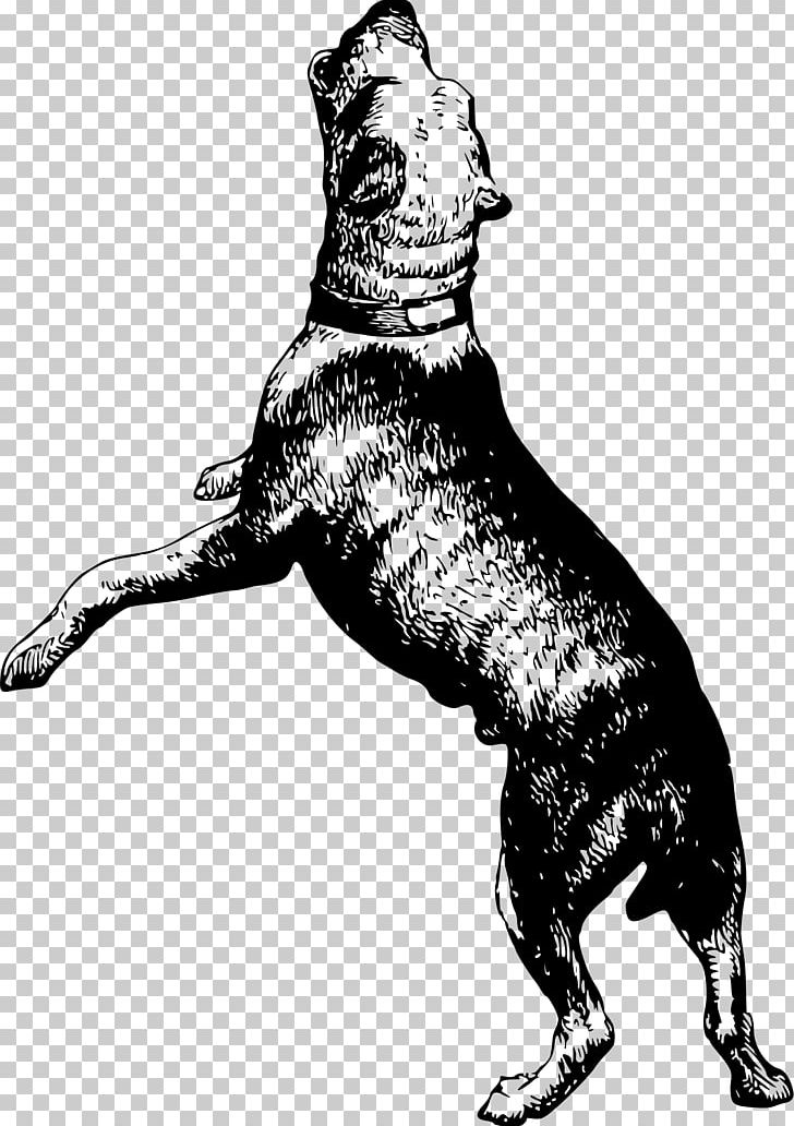 Dog Canidae Drawing Pet Mammal PNG, Clipart, Animal, Animals, Art, Black And White, Bull Dog Free PNG Download