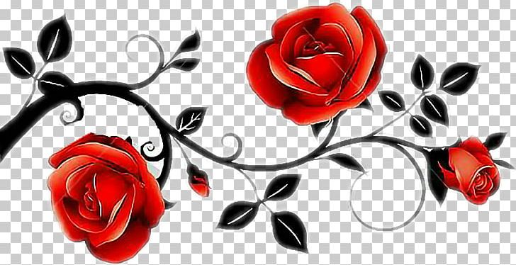 Garden Roses PNG, Clipart, Black Rose, Clip Art, Cut Flowers, Flora, Floral Design Free PNG Download