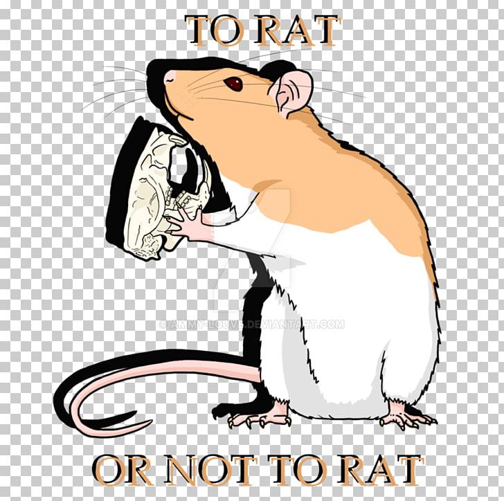 Rodent Rat Muroidea PNG, Clipart, Animal, Animals, Area, Artwork, Beak Free PNG Download