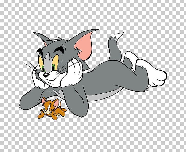 Tom Cat Jerry Mouse Tom And Jerry PNG, Clipart, Carnivoran, Cartoon, Cartoon Characters, Cat, Cat Like Mammal Free PNG Download