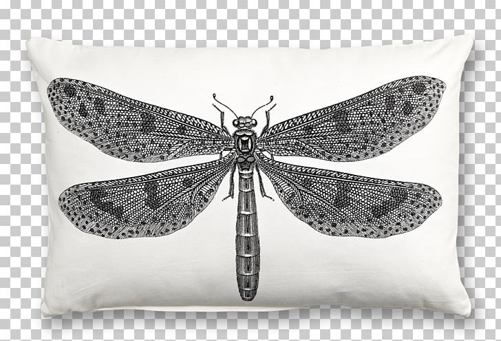 Pillow Cushion Interior Design Services Paper Furniture PNG, Clipart, Baby Sitter, Black And White, Butterfly, Carpet, Color Free PNG Download