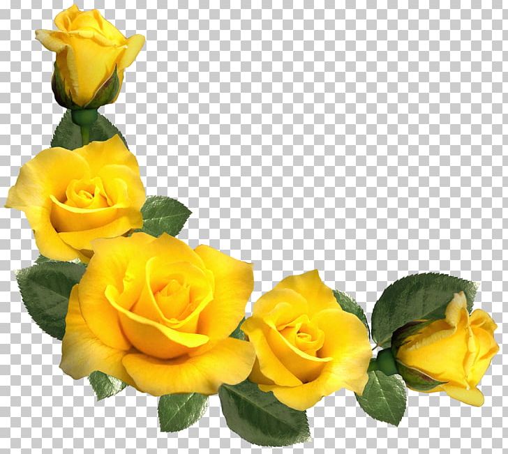 Rose Yellow PNG, Clipart, Austrian Briar, Cut Flowers, Floral Design, Floristry, Flower Free PNG Download