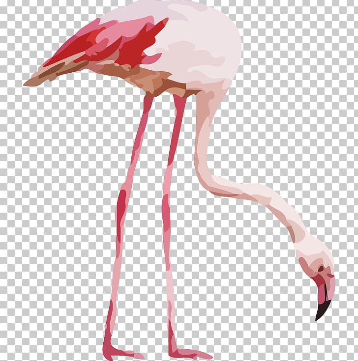 Flamingo Watercolor Painting Illustration PNG, Clipart, Animals, Art, Background Vector, Beak, Bird Free PNG Download