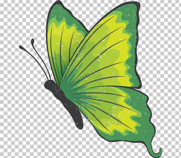 Monarch Butterfly Pieridae Brush-footed Butterflies Insect PNG, Clipart, Brush Footed Butterfly, Butterfly, Elkhart County Indiana, Green, Insect Free PNG Download