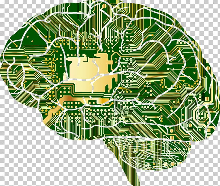 Neuroscience Brain Neurology Artificial Intelligence Learning PNG, Clipart, Artificial Intelligence, Computer Science, Human Brain, Intelligence, Leaf Free PNG Download