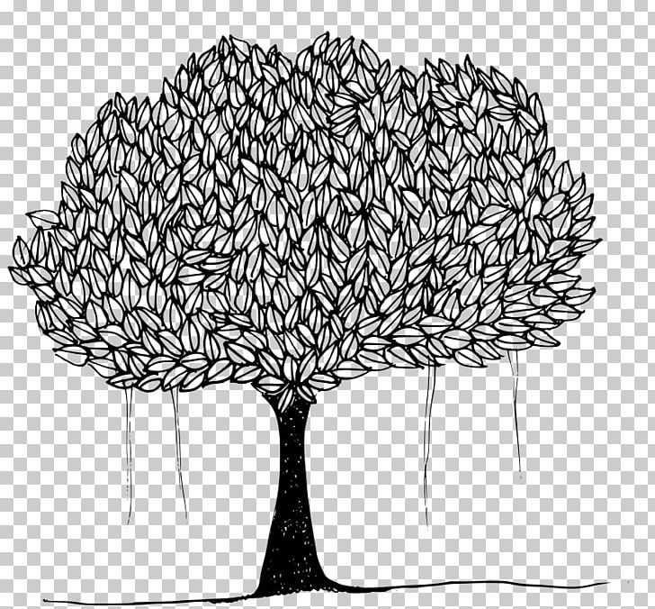 Tree Ficus Religiosa Banyan PNG, Clipart, Artwork, Banyan, Black And White, Branch, Canopy Free PNG Download