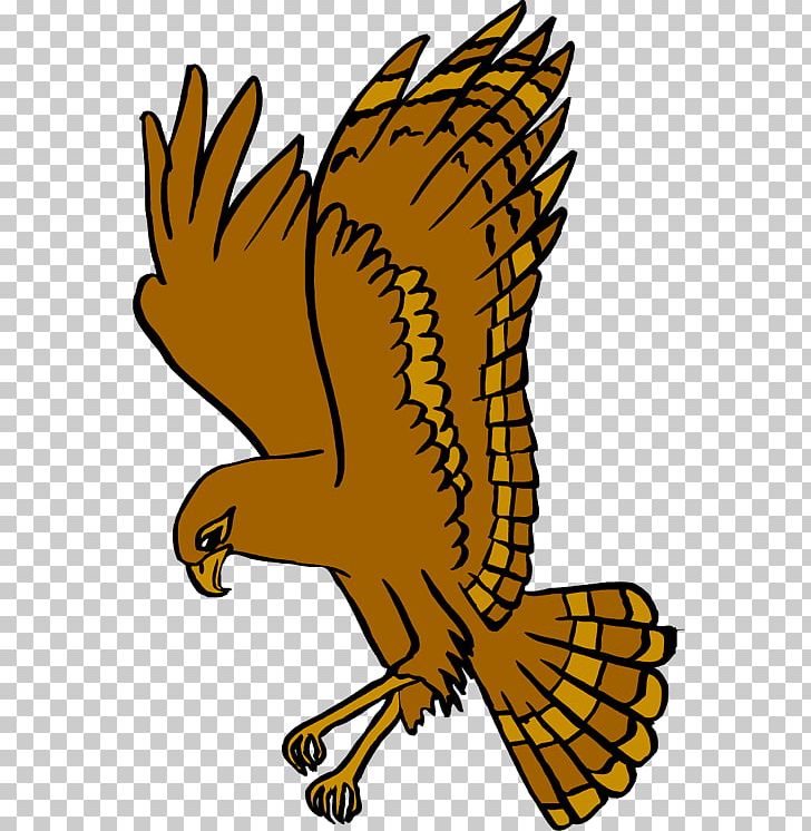 West Delaware High School Hawk National Secondary School PNG, Clipart, Artwork, Beak, Bird, Bird Of Prey, Claw Free PNG Download