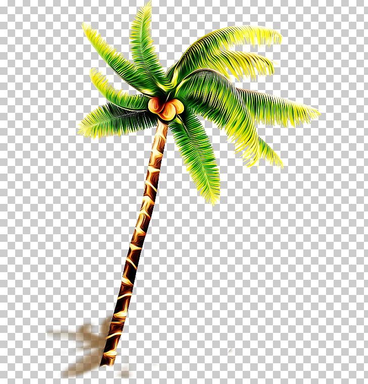 Coconut Tree PNG, Clipart, Arecales, Autumn Tree, Branch, Christmas Tree, Coconut Free PNG Download