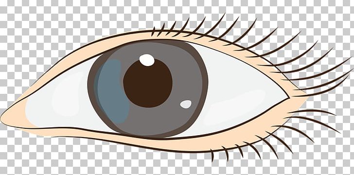 Eye PNG, Clipart, Clip, Computer Icons, Desktop Wallpaper, Download, Eye Free PNG Download