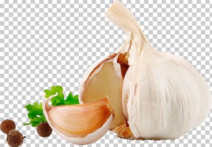 Garlic PNG, Clipart, Garlic Free PNG Download